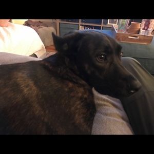 Meet your Posher, Ross